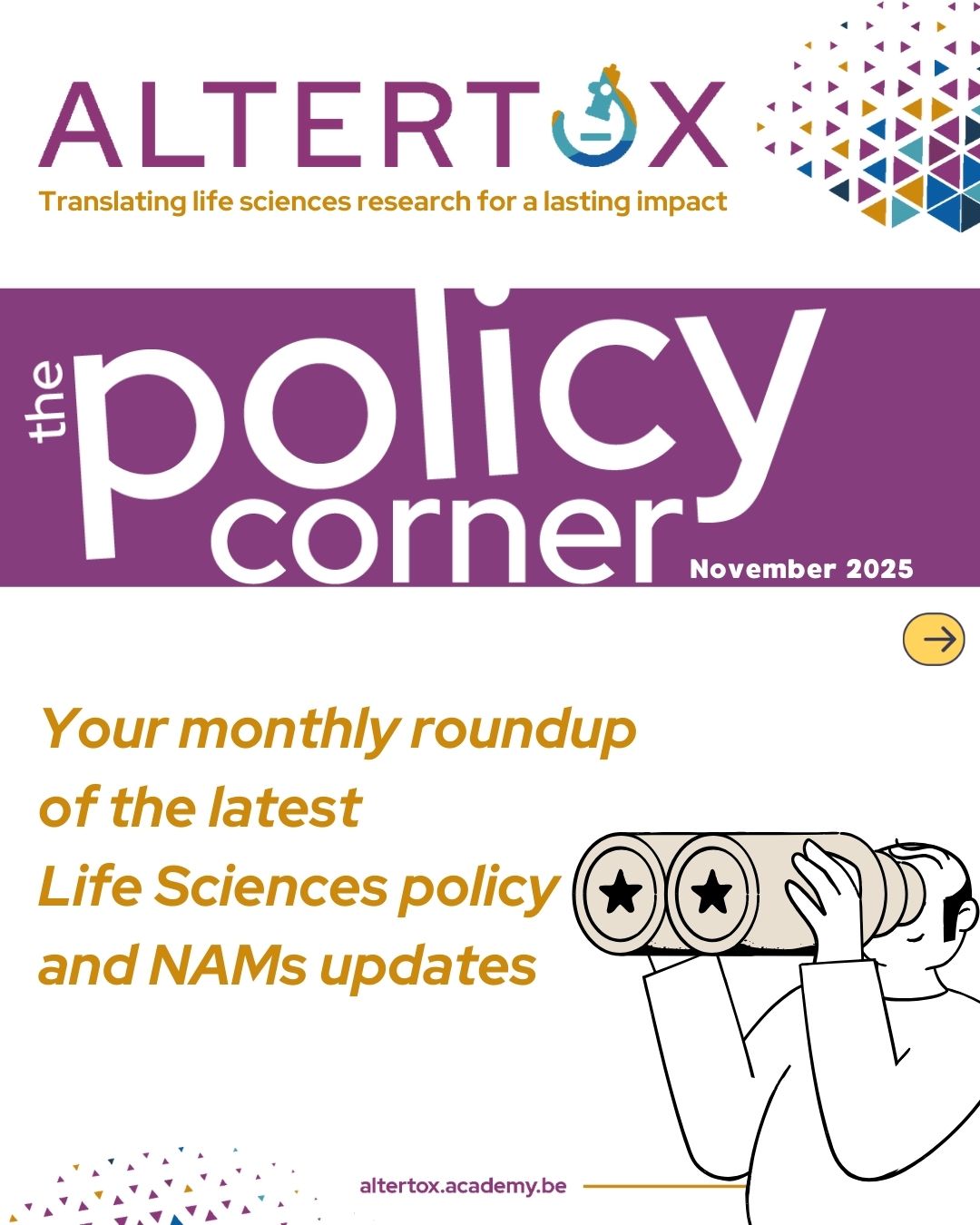 Policy corner NOV 25_1