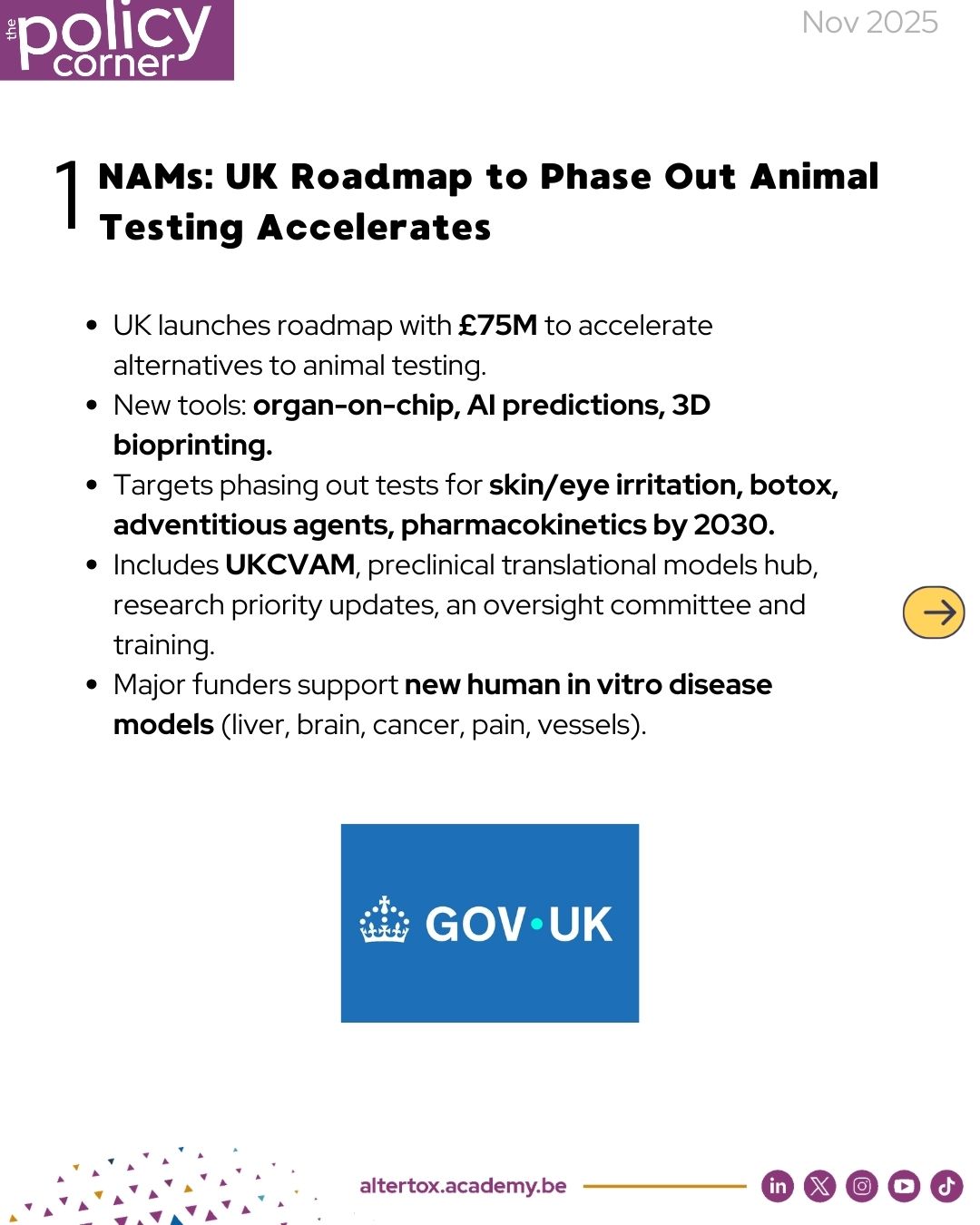 Policy corner NOV 25_2