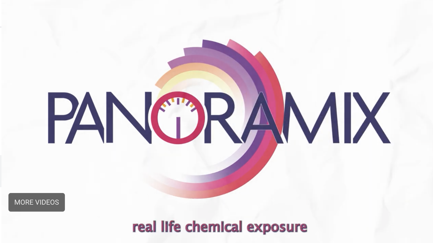 Panoramix:The Invisible Mix 